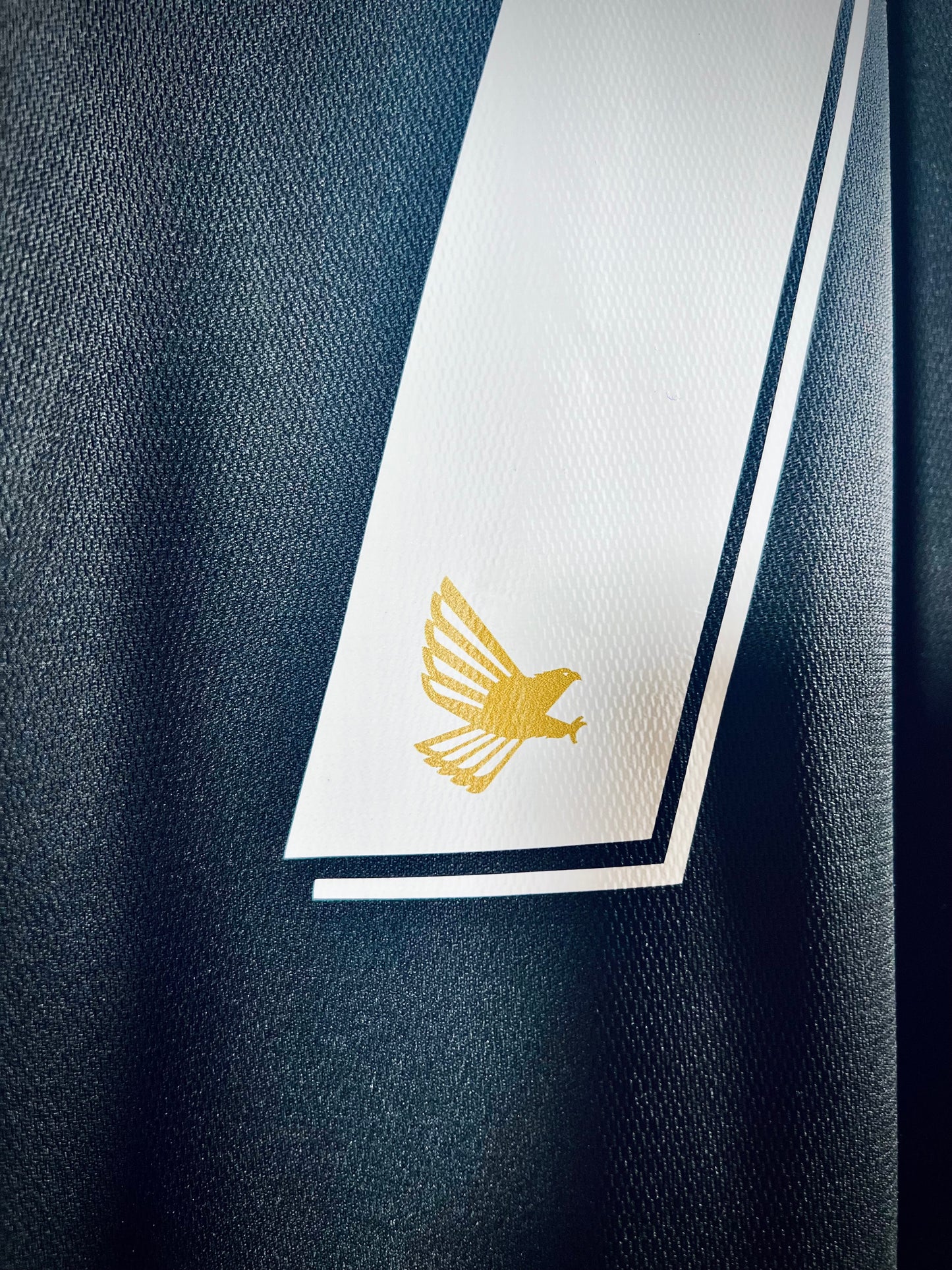 Palermo 2008-10 Third Calcio Shirt CAVANI #7