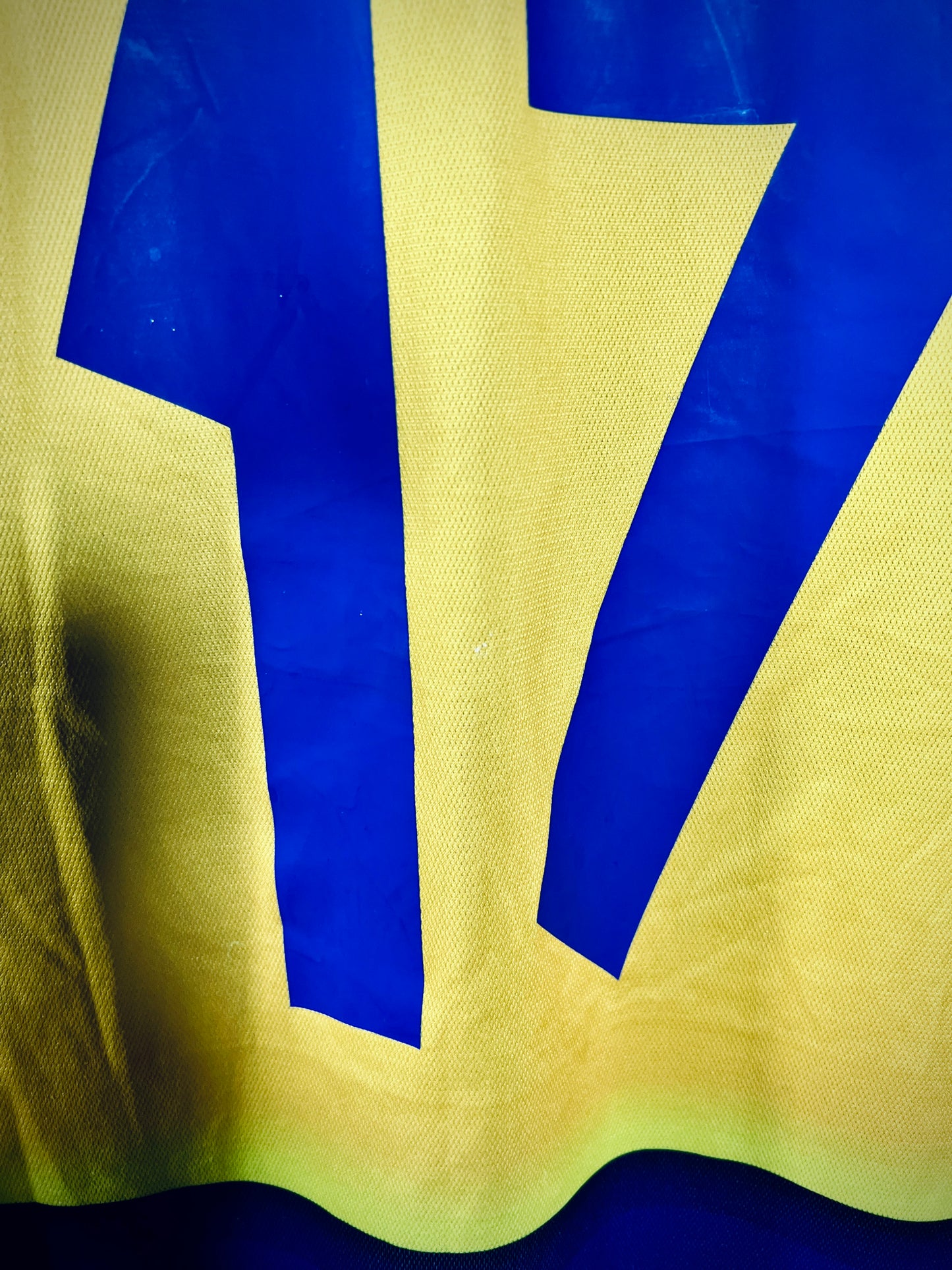 Parma 2001-02 home Calcio Shirt CANNAVARO #17